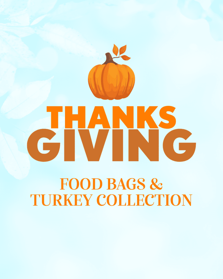 Thanksgiving Food Bags & Turkey Collection